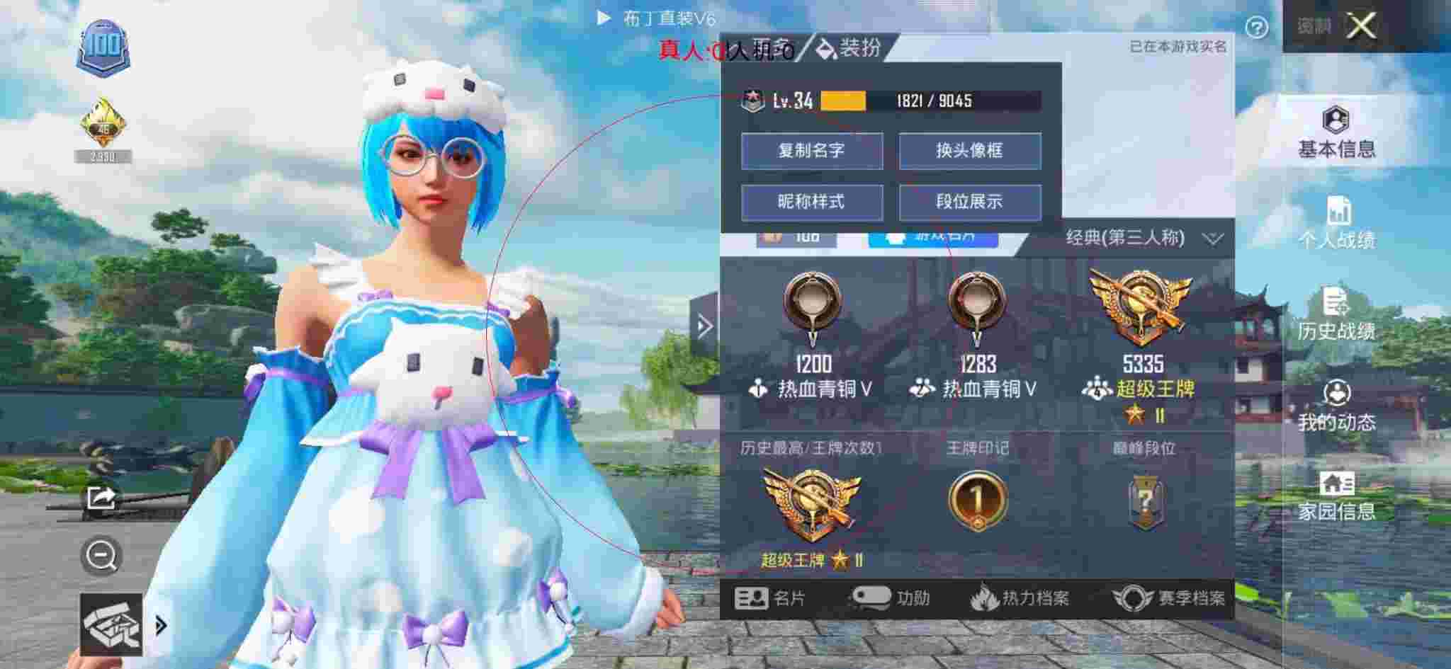和平精英布丁直装透视 - 和平精英大白阁画质辅助器1.0版辅助预览图